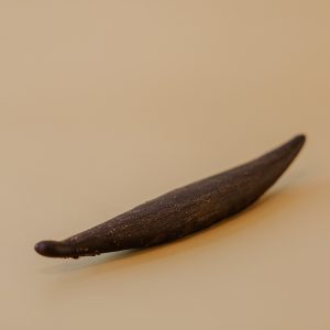 Gousse de Vanille