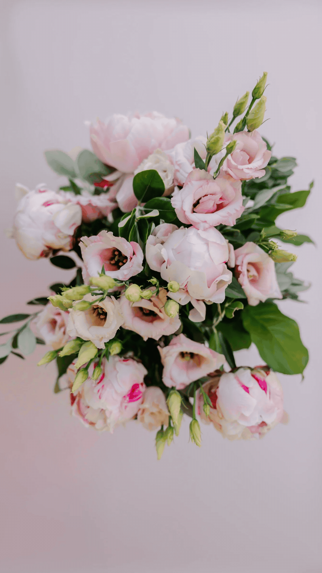 Les Oursons fleuris – Image 3